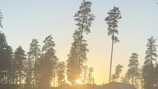 В Бузулукском бору установлен температурный рекорд