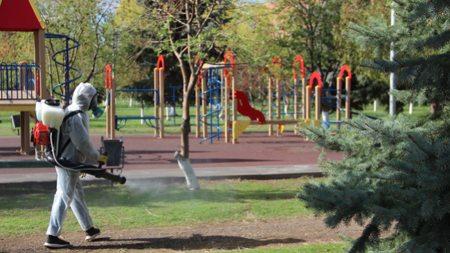 Когда будет обработка города от насекомых? 