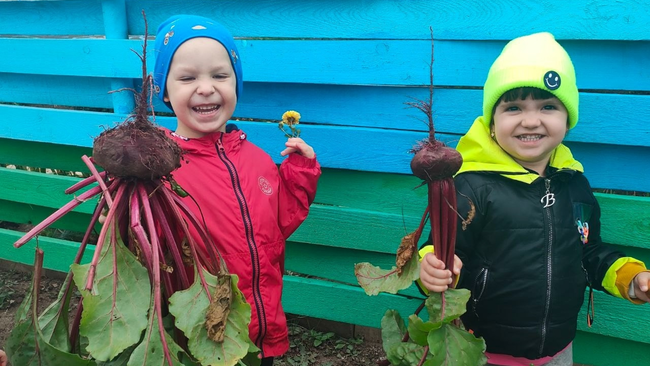 Дети собрали первый урожай