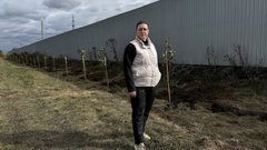 Искра становится зеленее: в посёлке высадили аллею из тополей