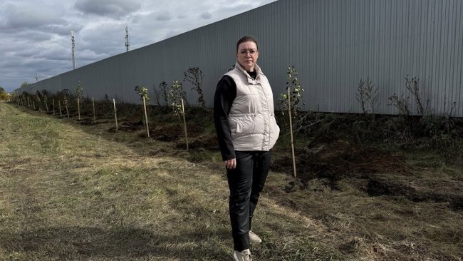 Искра становится зеленее: в посёлке высадили аллею из тополей