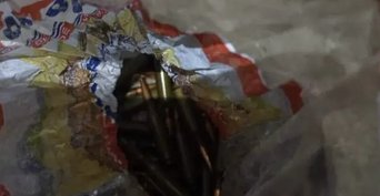 Житель Бузулукского района получил условный срок за хранение боеприпасов и взрывных устройств