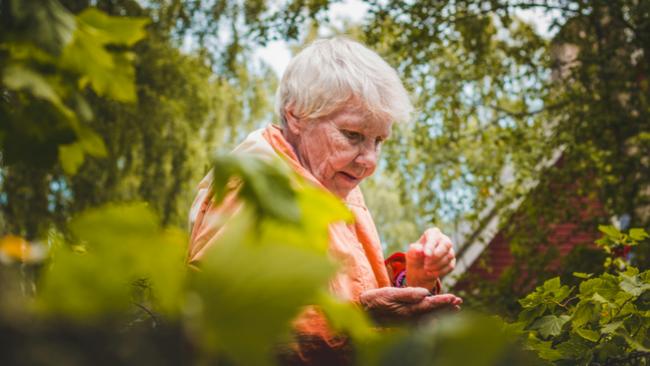 Пенсионерка перевела миллион мошенникам 