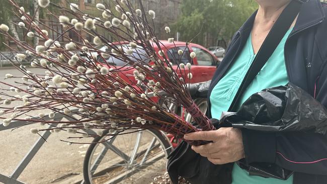 Сколько стоит верба в Бузулуке