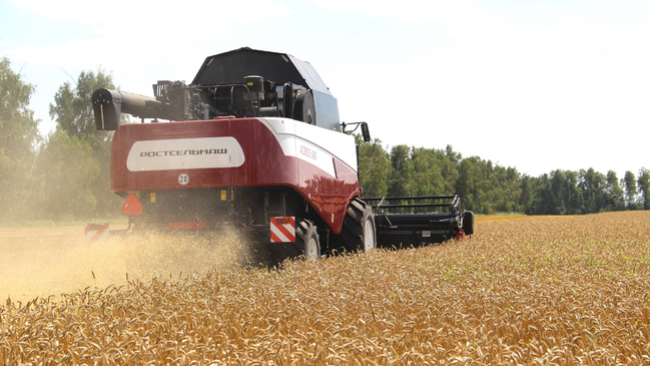 Озимая почти убрана: промежуточные итоги 