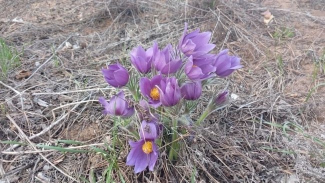 Весна пришла раньше 