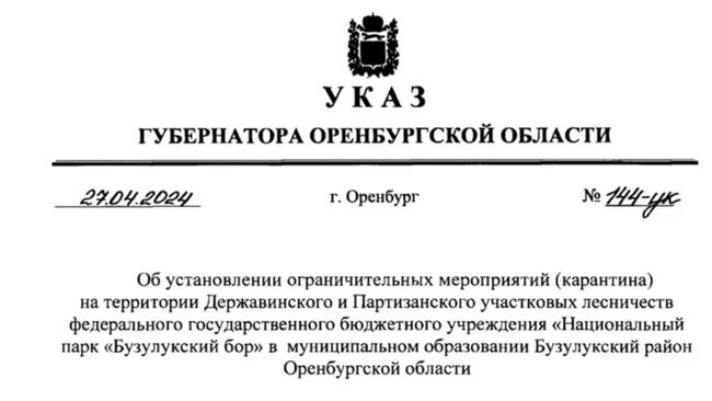 На территории нацпарка «Бузулукский бор» выявили бешенство. Введен карантин