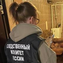 В Бузулуке завершено расследование уголовного дела в отношении местной жительницы, убившей своего знакомого