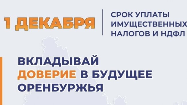 Налоги без очередей: где оплатить за минуту