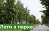 Лето в парке  