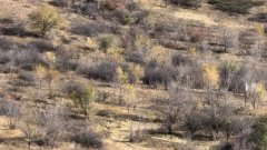 10 пожаров за весну и последствия паводка в Бузулуке