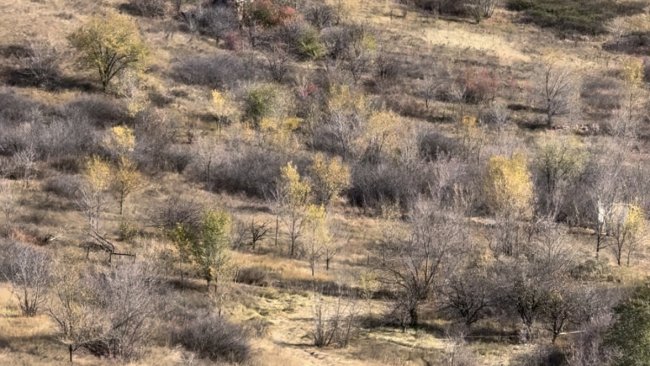 10 пожаров за весну и последствия паводка в Бузулуке