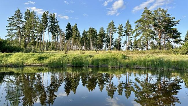 Новый этап защиты Бузулукского бора от пожаров  