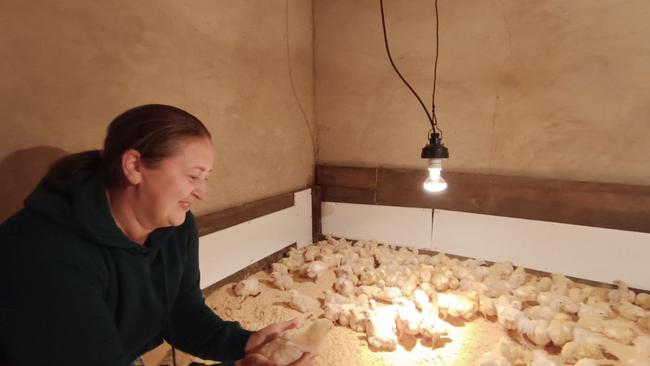 «Растим вместе на селе»