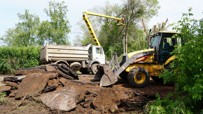 В парке Льва Толстого срежут асфальт, посадят клёны