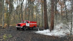 На грани беды: огонь удалось остановить у Бузулукского бора