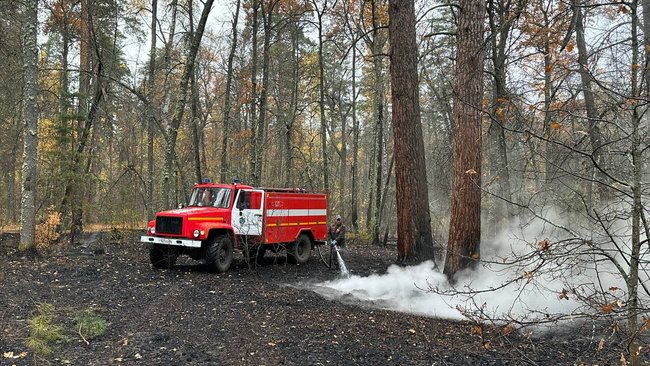 На грани беды: огонь удалось остановить у Бузулукского бора
