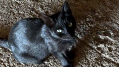 Сына обязали съехать: оренбурженка через суд добилась выселения