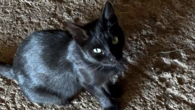 Сына обязали съехать: оренбурженка через суд добилась выселения