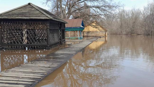 В Бузулукском бору оценили ущерб нанесенный половодьем 