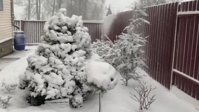 Мощный снегопад накрыл Москву и область: введён оранжевый уровень опасности