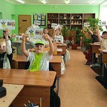 Как не допустить новой беды в лесу
