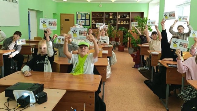 Как не допустить новой беды в лесу