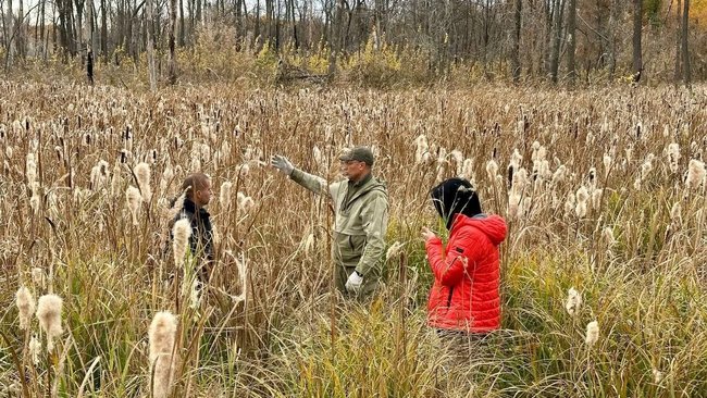 Пожар 2021-го и новая жизнь черноольшаника