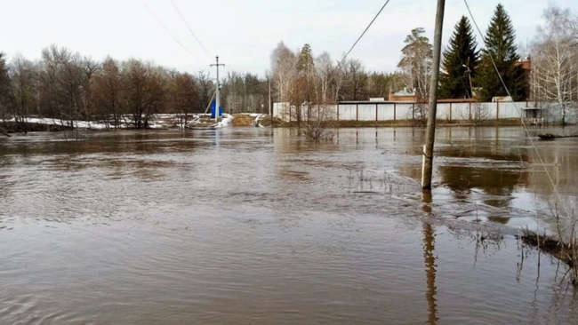 Мост через Боровку в Панике восстановят в 2026 году