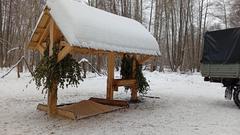 Весенние лесные столовые  