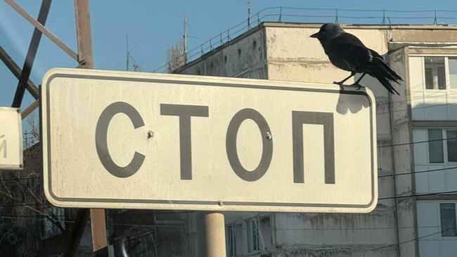 Внимание! Ограничение дорожного движения