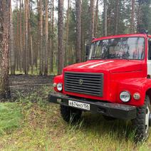 В Бузулукском бору начались пожары