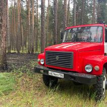 В Бузулукском бору начались пожары