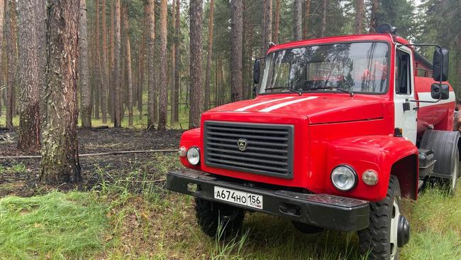 В Бузулукском бору начались пожары