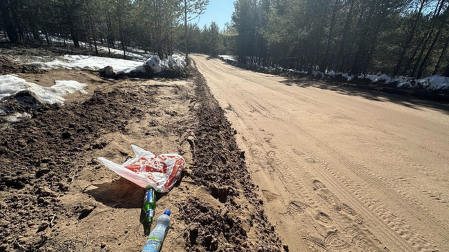 Дорога жизни 