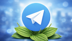 Telegram второй день подряд работает с перебоями