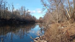 Ноябрь без мороза: что это значит для природы