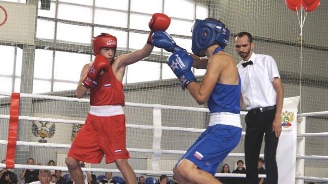 Областной Кубок по боксу вновь в Бузулуке