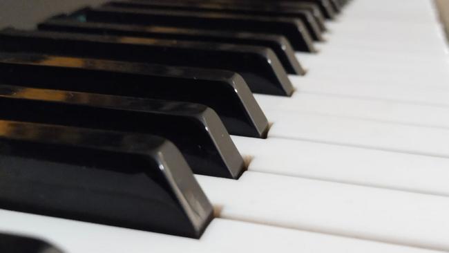 Воспитывать юных музыкантов становится все дороже