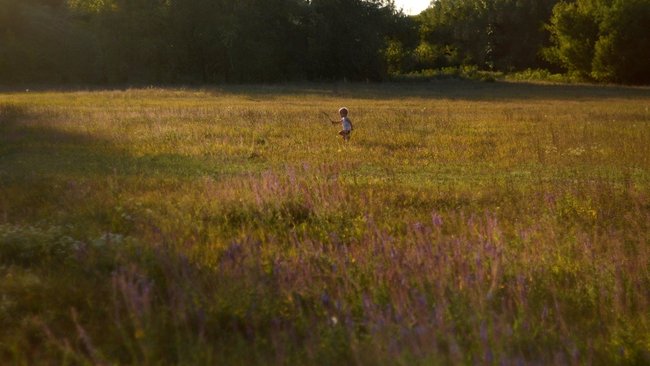 Многодетные, не построившиеся на выделенной земле, смогут поменять ее на деньги