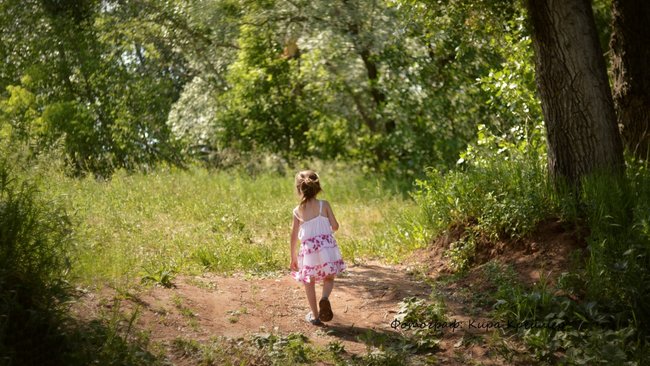 Потерявшиеся дети и змея в городе: «112» работает в круглосуточном режиме