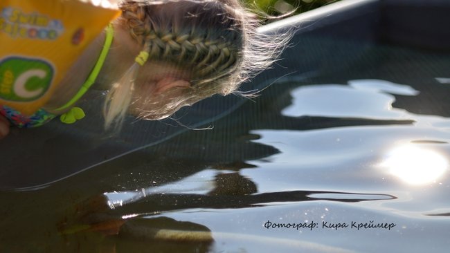 Дети Оренбуржья отмечают свой праздник, а Оренбургстат подводит итоги