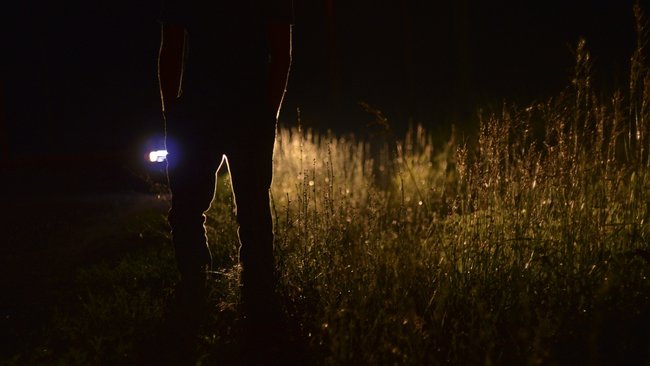 Волонтеры, полицейские и родственники ищут пропавшего бузулучанина уже больше недели 