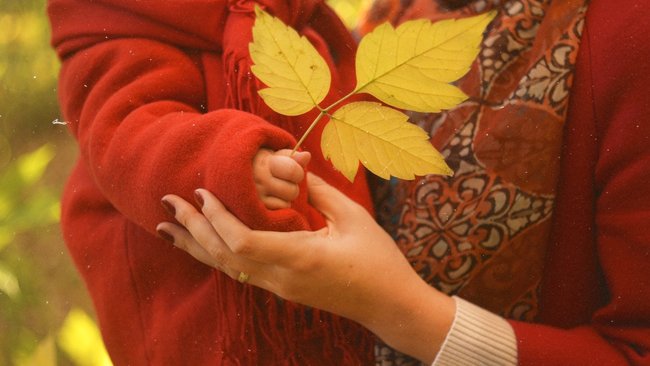 Какие льготы положены одиноким родителям