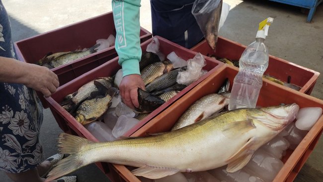 О чем нужно помнить, покупая товары на улице с рук?