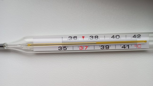 Россияне, заболевшие в течение месяца после увольнения, имеют право на оплату больничного листа 