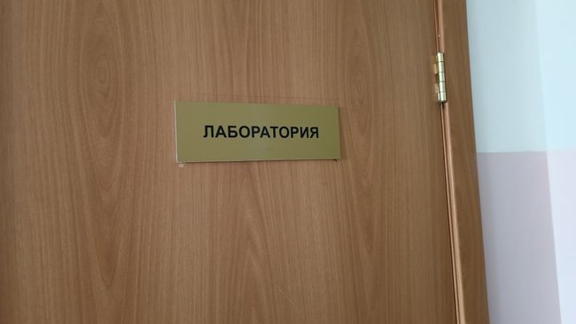 В Бузулуке и районе 269 случаев укусов клещей. Один оказался энцефалитным