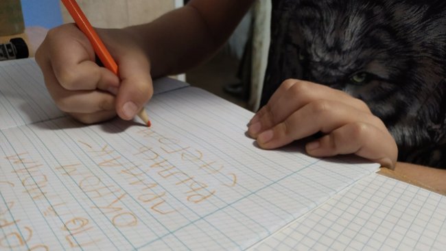 Когда школьников отправляют на удаленку?