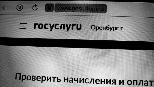 Когда россияне смогут получать налоговые уведомления через Госуслуги?