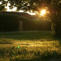 Как узнать, какие коммуникации проходят на земельном участке?